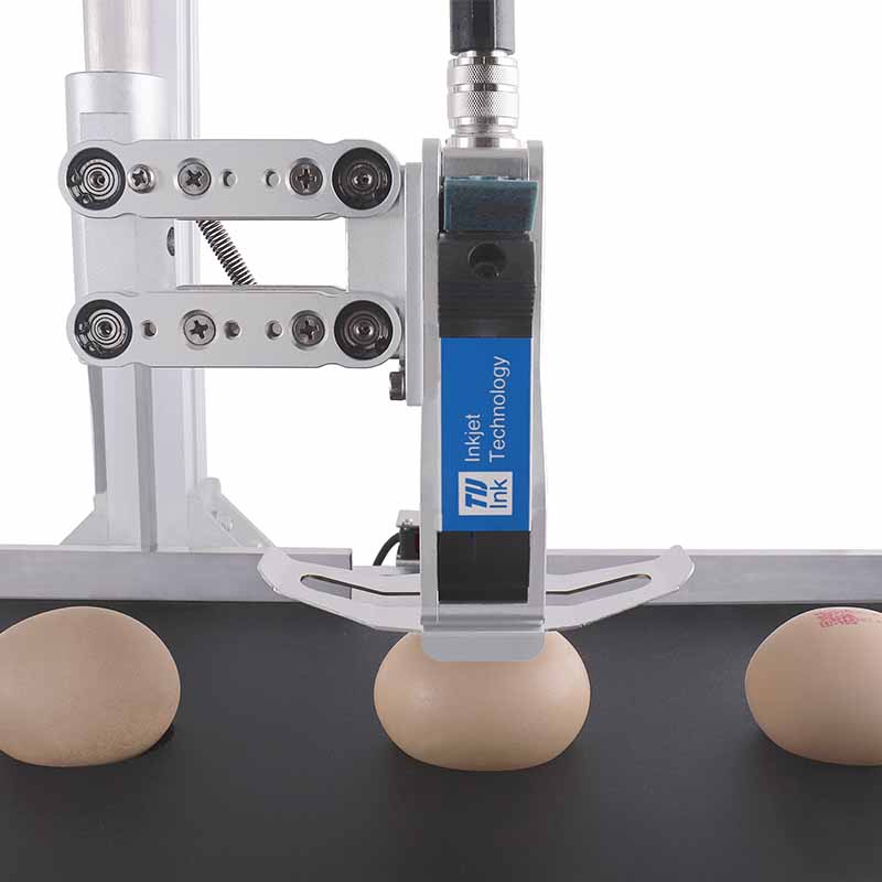 T2 Egg Coding and Marking Solution