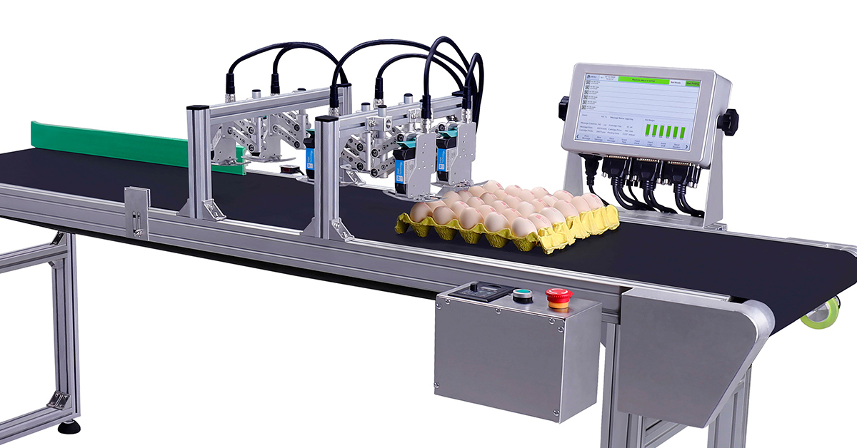 Docod - Your Trusted Partner for Precision Coding on Eggs
